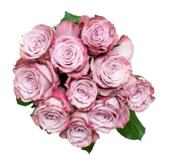 infused pink