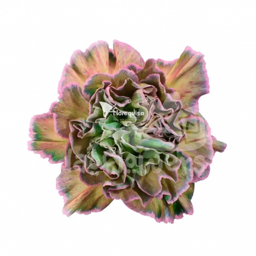 Green Agata PNT