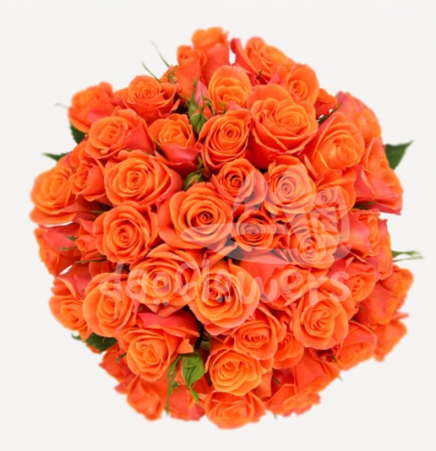 orange star*