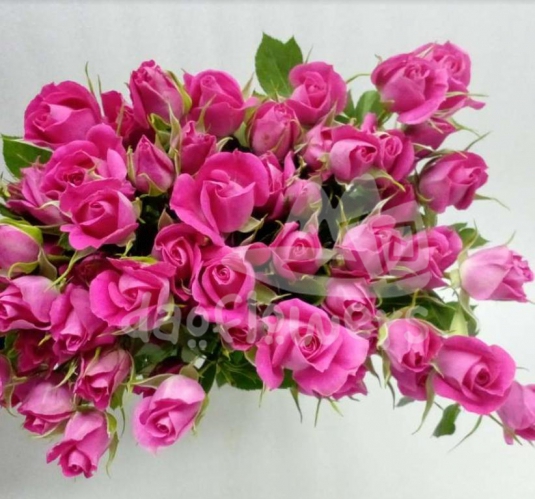 hot blossoms*