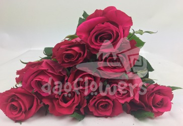 highness cerise