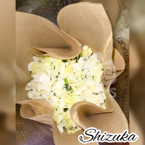 shizuka white
