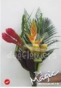 bq 35 calipso
